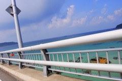 海
