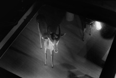 nakamura_kiso_kahaku_110205_0124