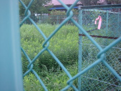 みっけ