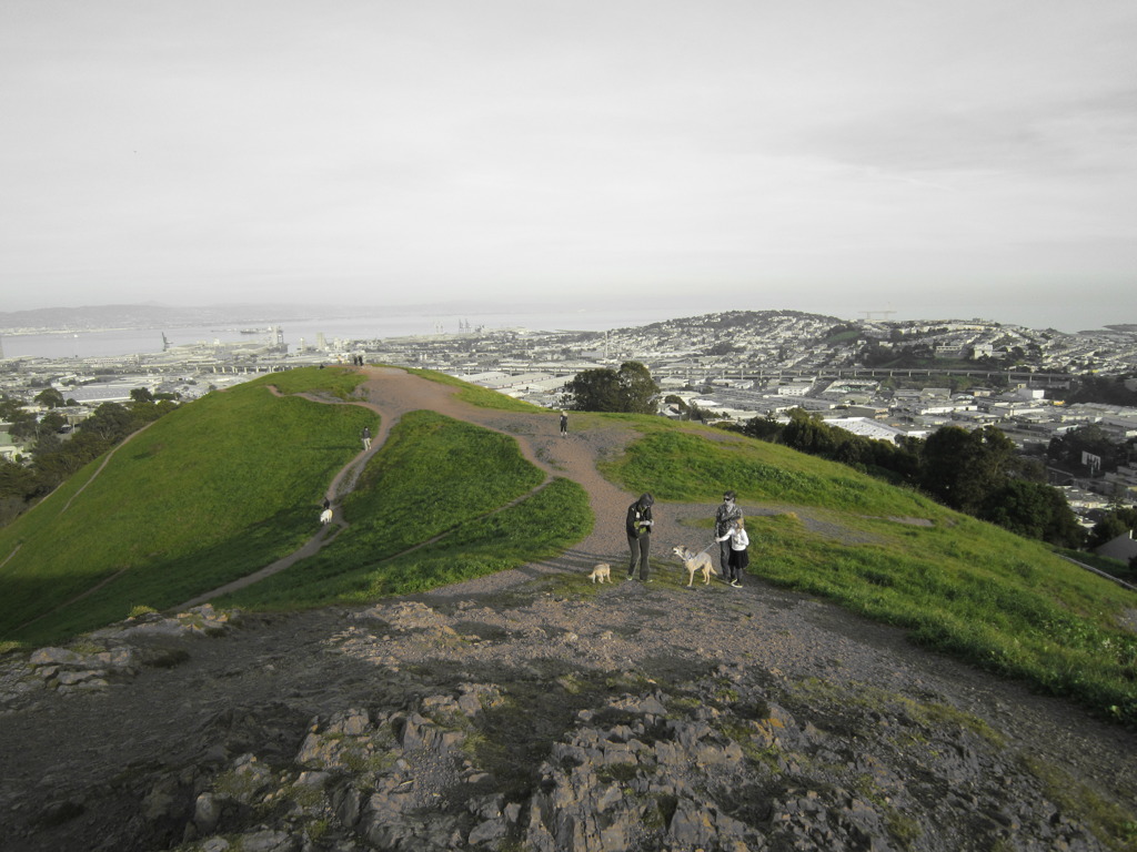 Mt.