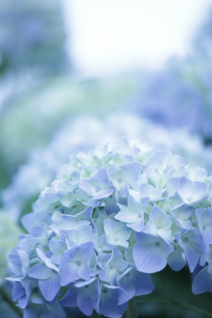day dream...
