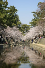 さくら夙川