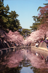 素晴らしい水鏡