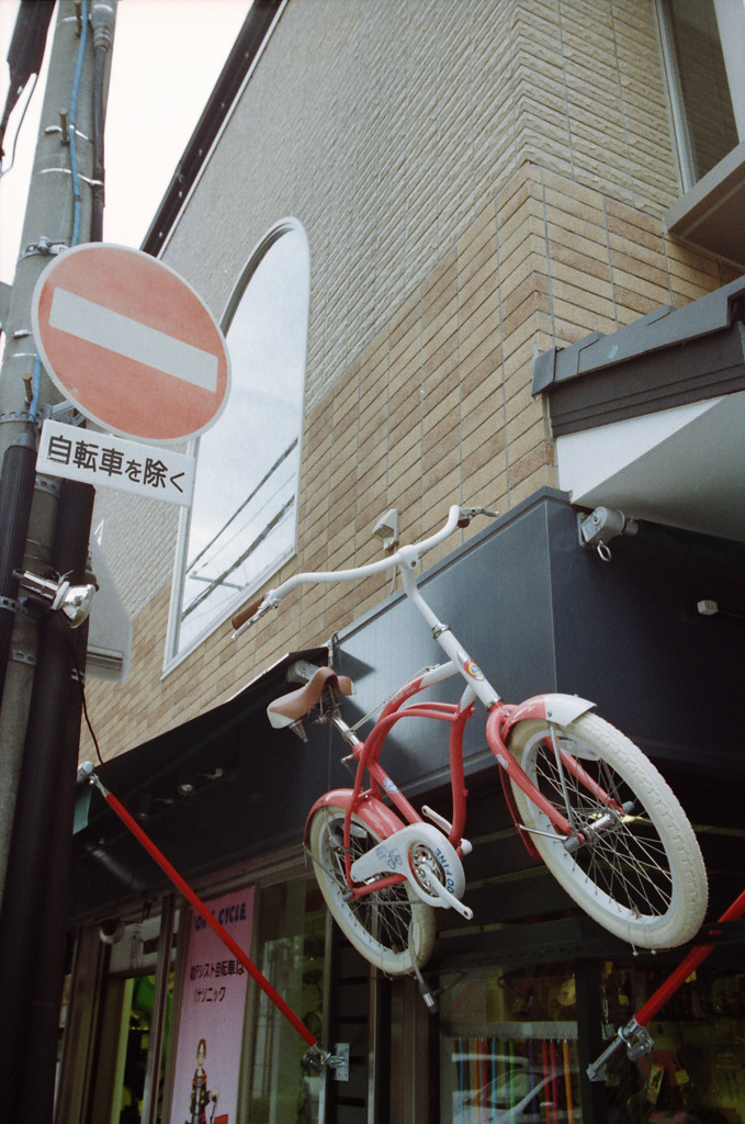 自転車を除く！