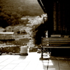 日陰