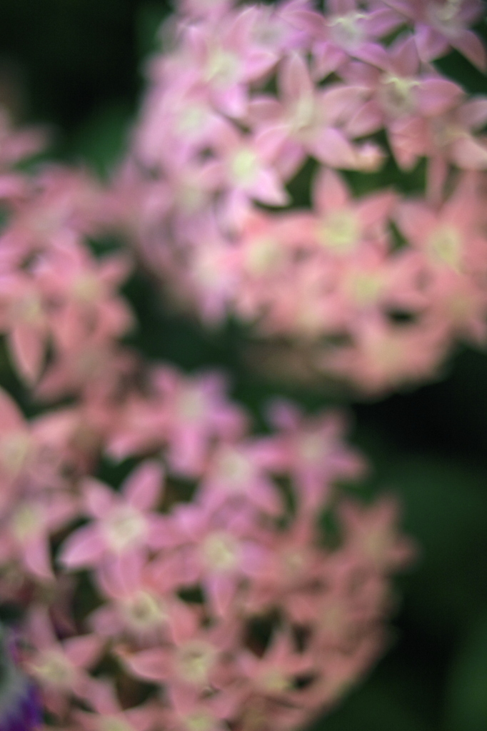 lowers-4