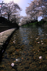 川面からの風景