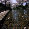 川面からの風景