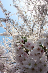 太陽を背に