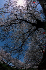 正午近く