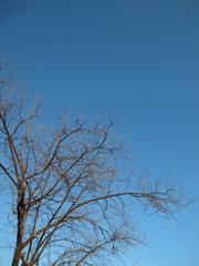 DPP_7898
