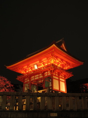京都花灯路_清水寺