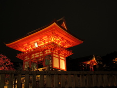 京都花灯路_清水寺2