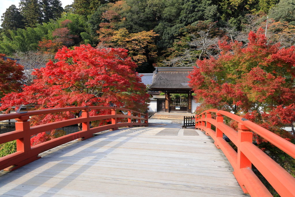 室生寺　秋　４