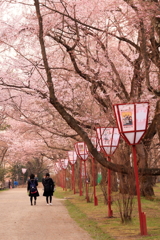 帰り道
