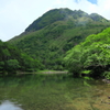 新緑の日光白根山