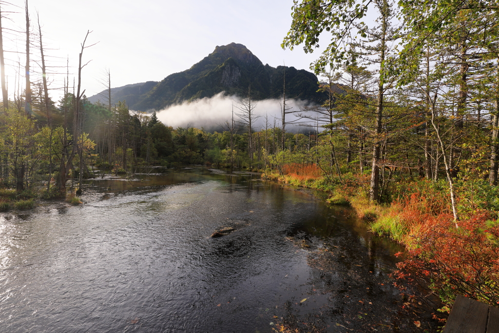 岳沢湿原