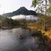岳沢湿原