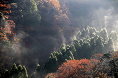 朝の気