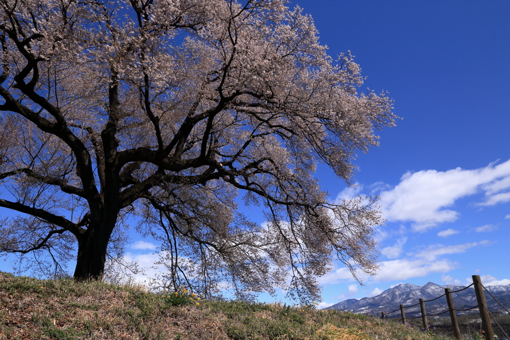 青空に・・・