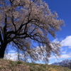青空に・・・