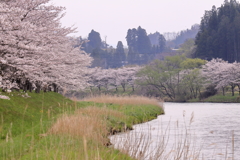 里の春
