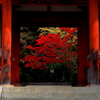 室生寺　秋　（再現像）