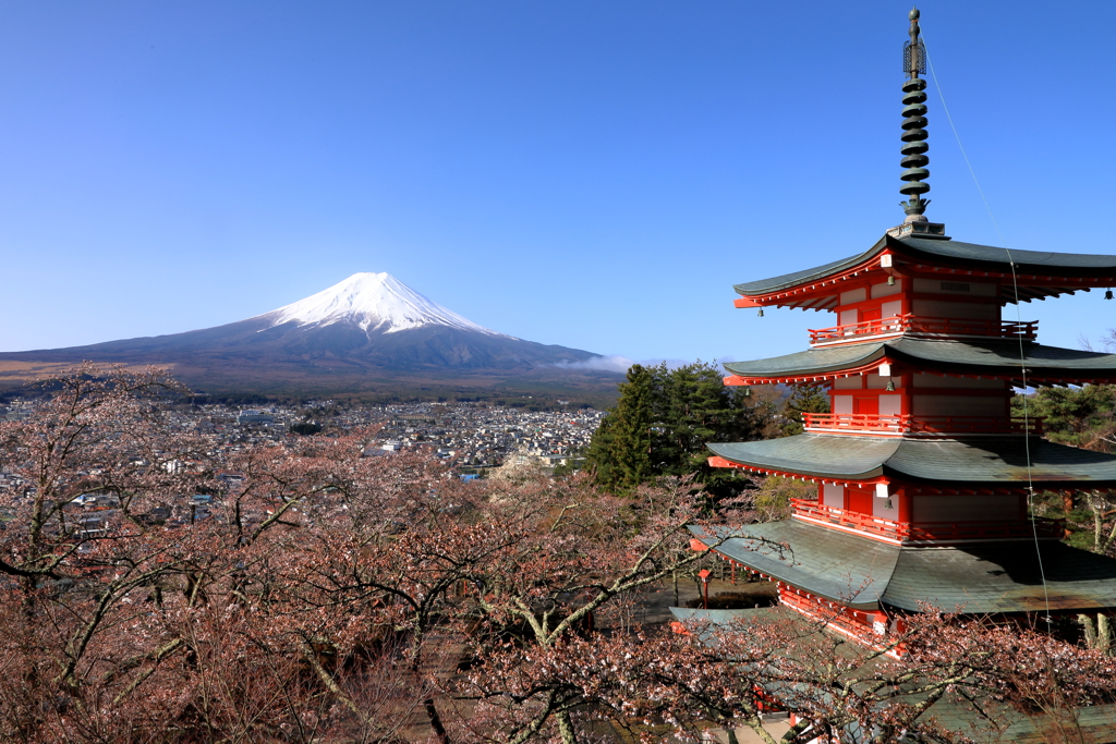 新倉山より