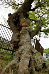 過ぎてきた時間