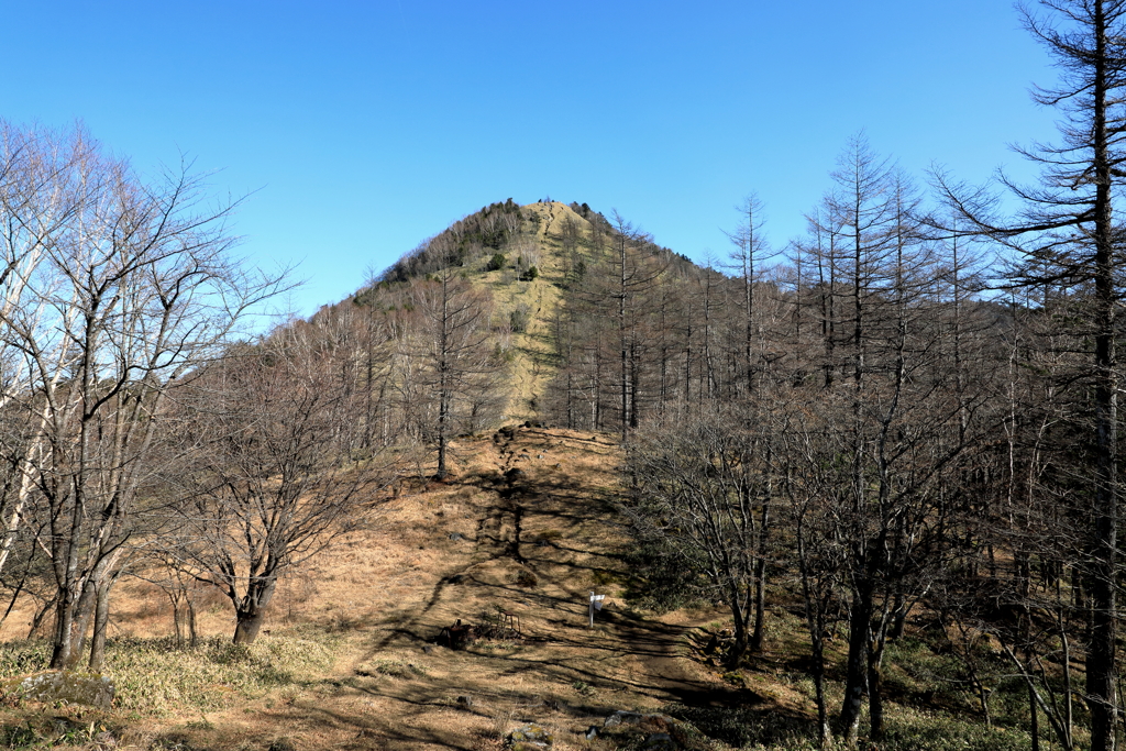 笠取山への道