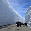 雪の大谷