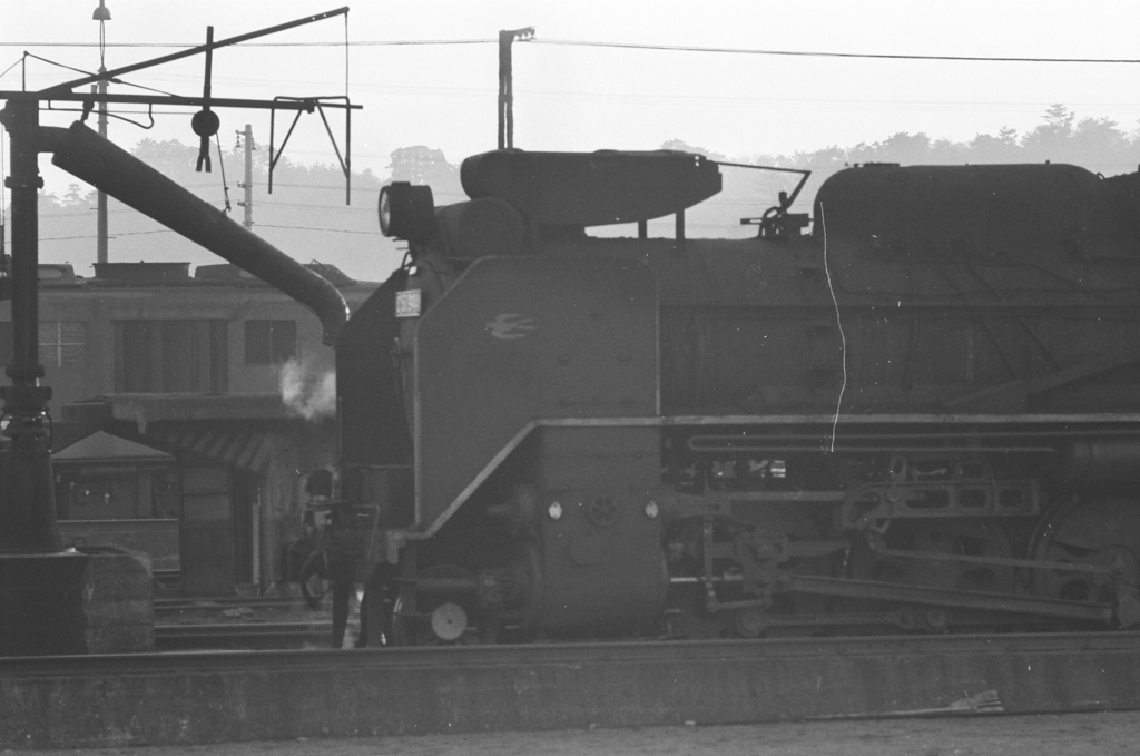 つばめのＤ５１