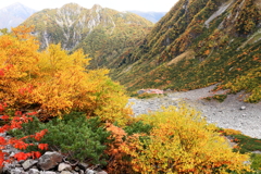 涸沢　秋の色　２
