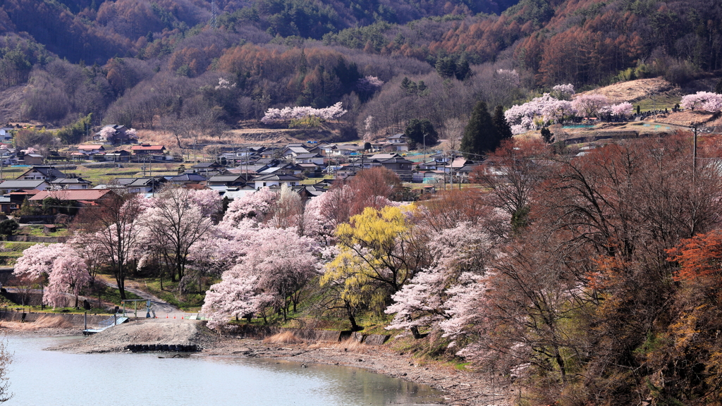 山里の春