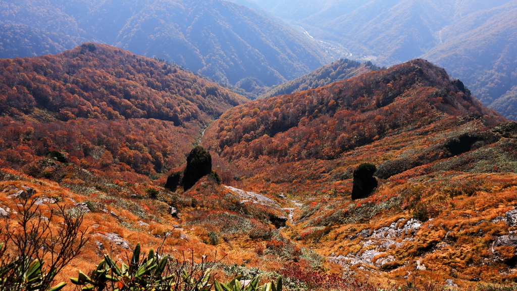 白毛門の秋　３