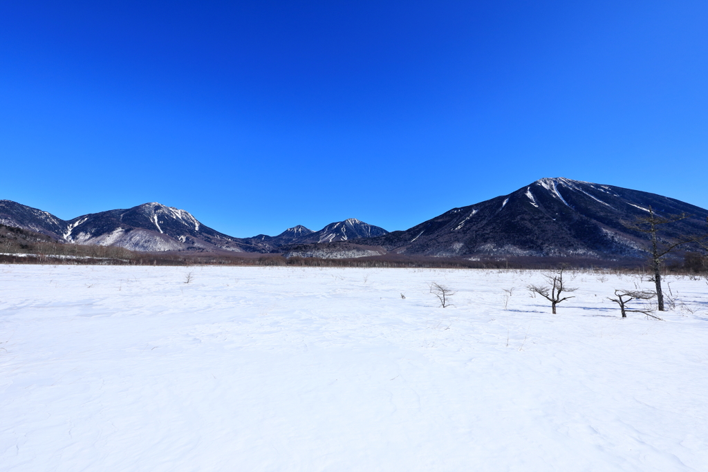 雪原　戦場ヶ原