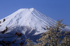 富士に向かって