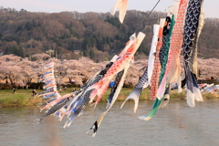 春の風