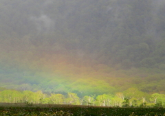 山に差した虹