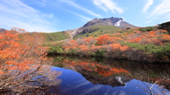 秋の色　ひょうたん池