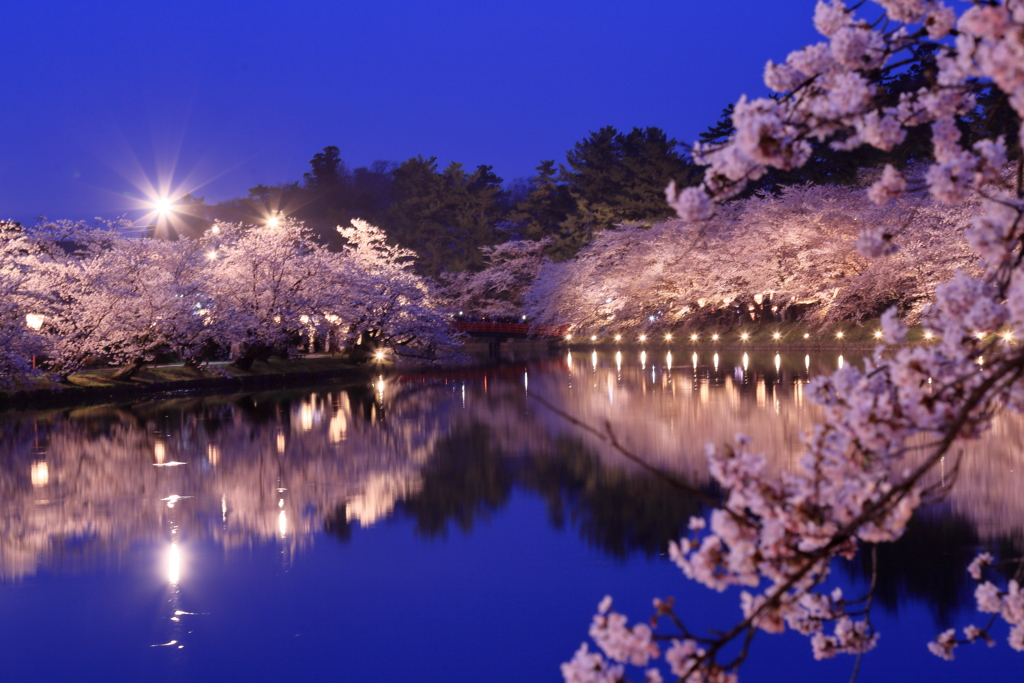 春の夜の夢　３