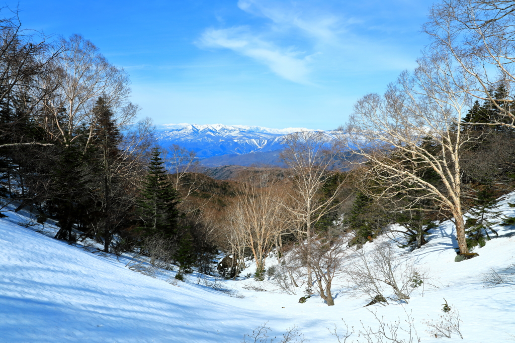 春を待つ山々