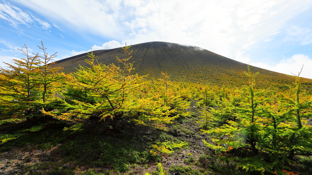 秋を迎える浅間山