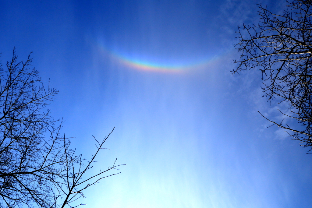見上げた空
