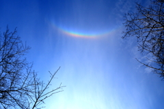 見上げた空