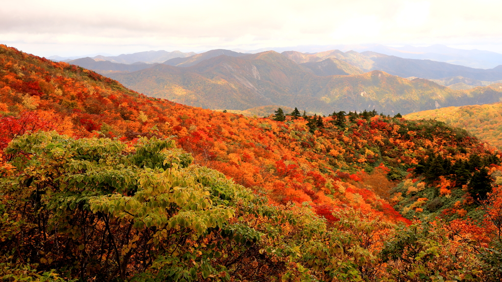 錦秋　栗駒山