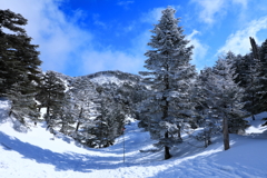 山頂へと続く道