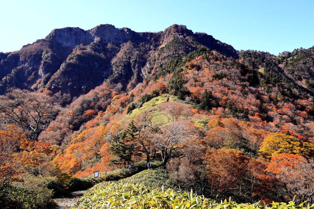 夜明け峠からの石鎚山