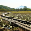 研究見本園