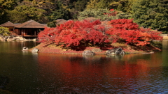 栗林公園の秋